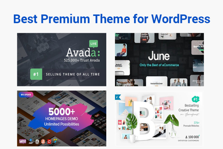 Best Premium Themes for WordPress Blog Website